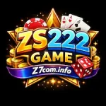 ZS222 Game Logo
